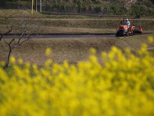 田植え前(御殿場市 仁杉)