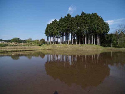 田植え前(御殿場市 仁杉)