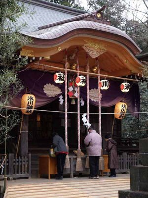 初詣(氷川神社)