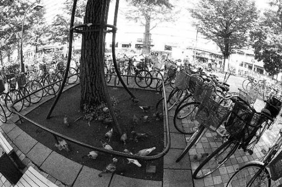 放置自転車(光が丘)