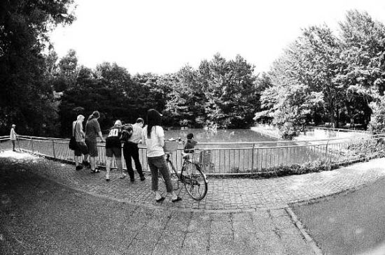 観察池(光が丘公園)