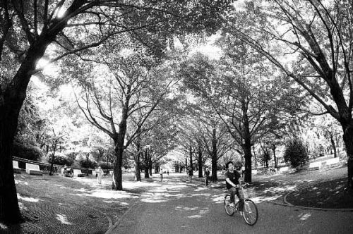 ストリート(光が丘公園)