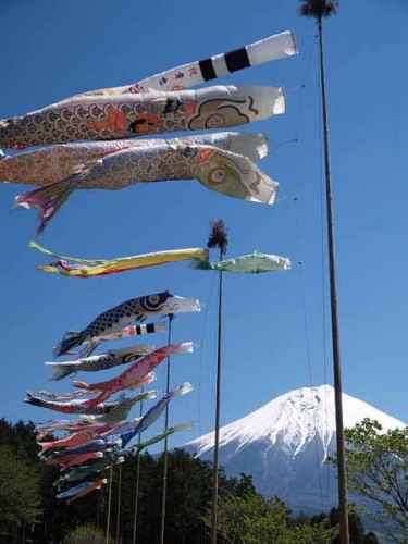 鯉のぼり(まかいの牧場)
