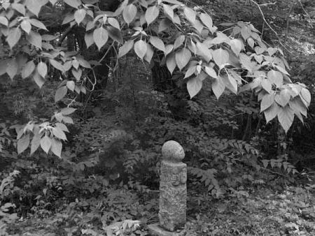 �i�z�K�̐X�����j