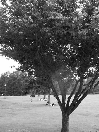 �Ő��L��i�z�K�̐X�����j