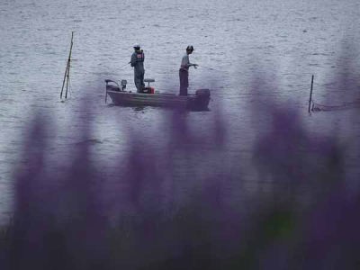 ���x���_�[�i�͌��� ��Ό����j