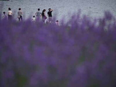 ���x���_�[�i�͌��� ��Ό����j