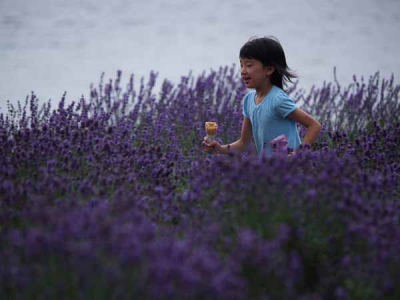 ���x���_�[�i�͌��� ��Ό����j