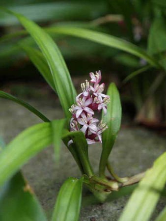 �L�`�W���E�\�E�i��a��s �����{�L�O�����j