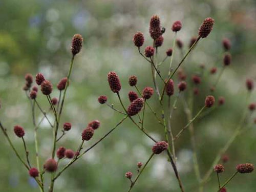 �������R�E�i��a��s �����{�L�O�����j