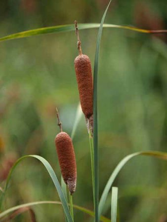 �K�}�i��a��s �����{�L�O�����j