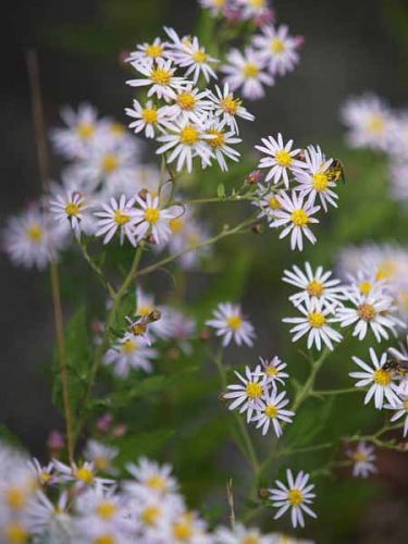 ���E�K�M�N�H�i��Ό��������B�W�^�[�Z���^�[�j