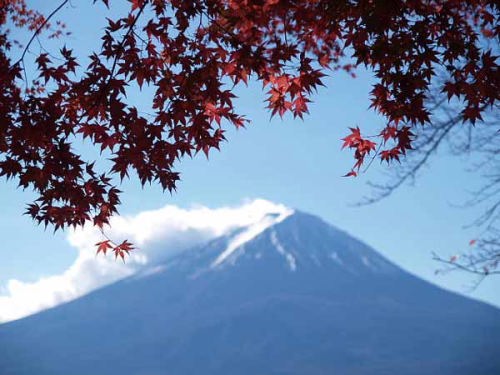 �g�t�i�͌��Δȁj