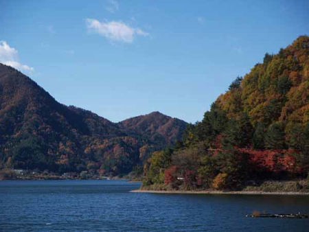 �g�t�i�͌��Δȁj