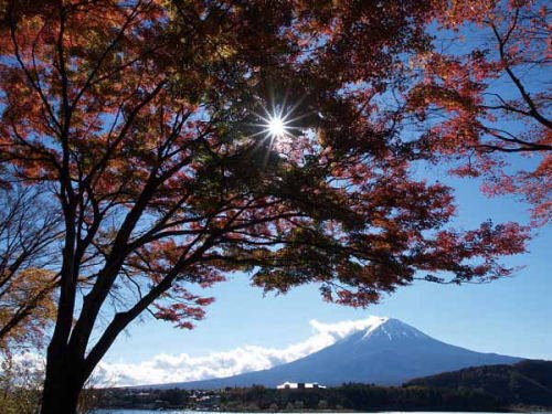 �g�t�i�͌��Δȁj