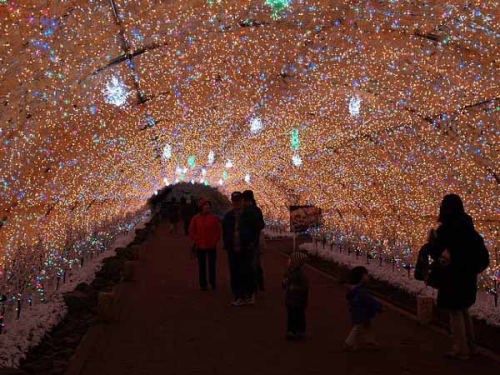 ���C�g�A�b�v�i��a�ꍂ�� ���̐��j