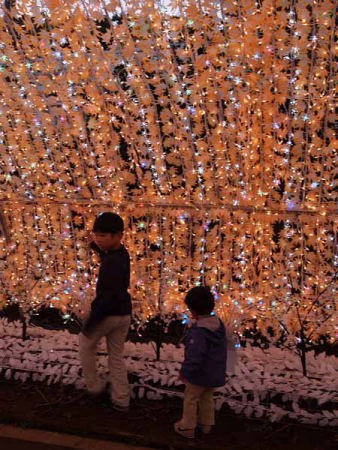 ���C�g�A�b�v�i��a�ꍂ�� ���̐��j