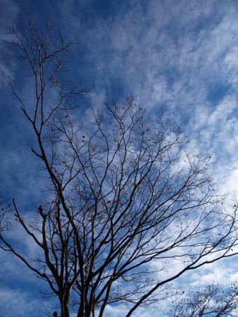 �i���� �֏��Ձj