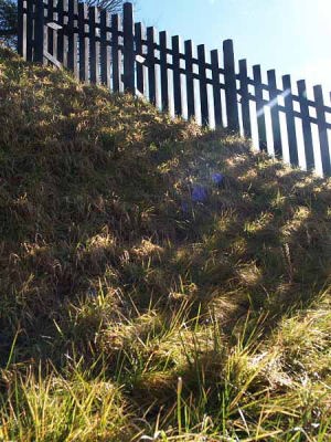 �i���� �֏��Ձj