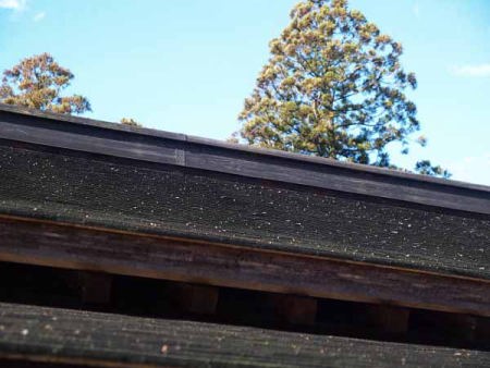 �i���� �֏��Ձj