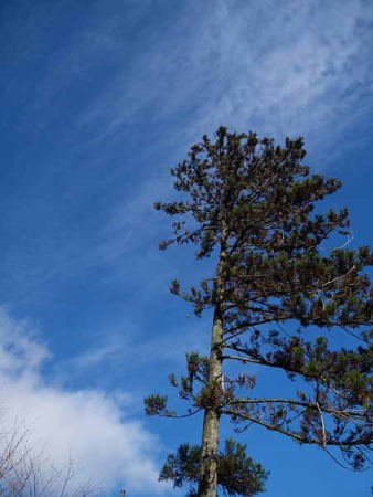 �i���� ���X�����h�j