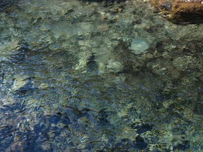 �i���� ���X�����h�j