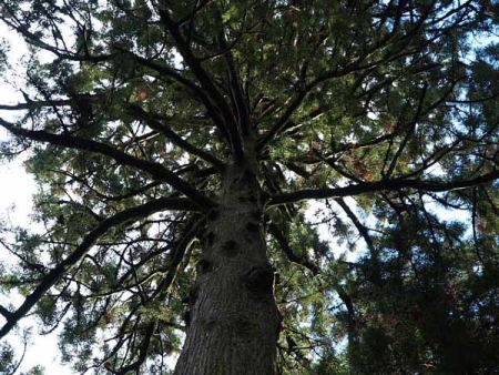 �i���� �����_�Ёj