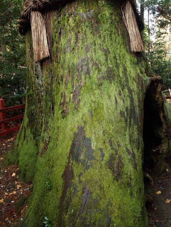 �i���� �����_�Ёj