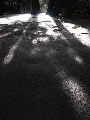 �i���� �����_�Ёj