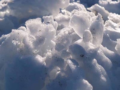 �i�x�m�g�c���[�_�[�h�[���j