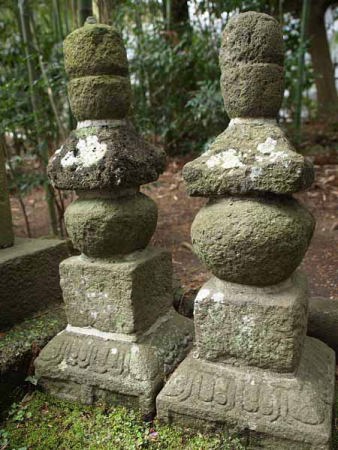 �ܗ֓��i���q ���o���j