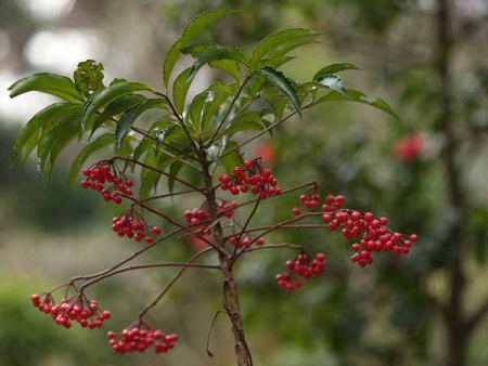 �}�������E�i���q ���o���j