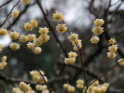 �~�c�}�^�i���q ���o���j