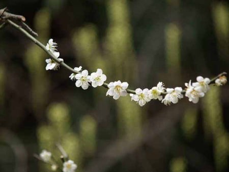 ���Ӕ~�i���q ���o���j