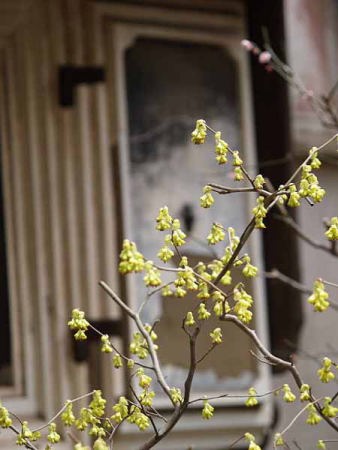 �q���E�K�~�Y�L�i���q ���o���j