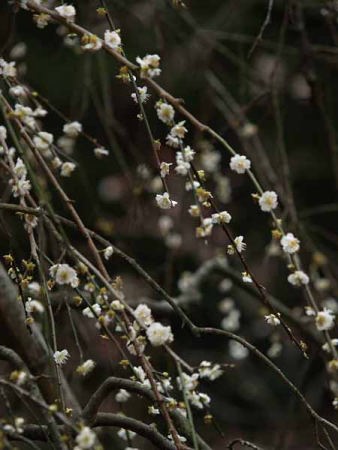 �V�_���E���i���q ���c���j