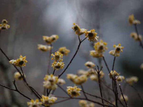 �~�c�}�^�i���q ��q���j