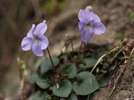 �^�`�c�{�X�~���i���q ��q���j