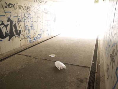 ���f�n�����ɂāi�А��C�݁j