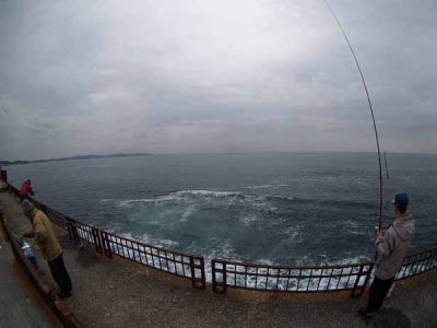 �V�������ނ�l�i�]�̓��j