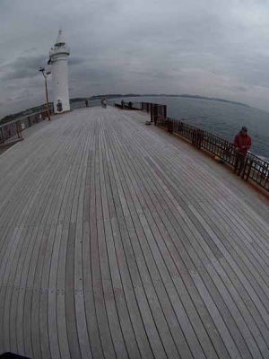 �V�������ނ�l�i�]�̓��j