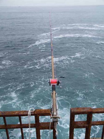 �ނ�l�i�]�̓��j