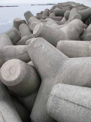 �e�g���|�b�h�i�]�̓��j