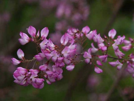 �E���i���n�M�i���q �������j