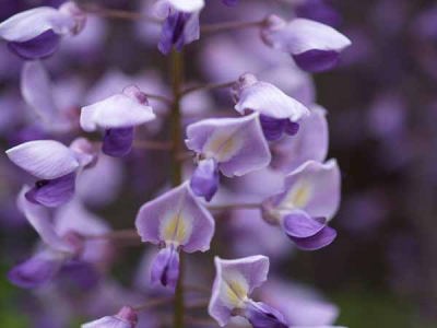 �t�W�i���q ���J���j