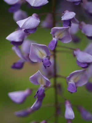 �t�W�i���q ���J���j