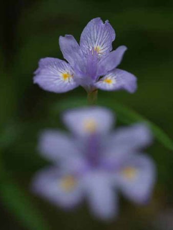 �q���V���K�i���q ���J���j