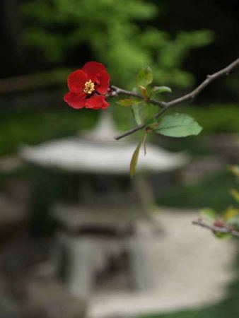 �{�P�i���q ���J���j