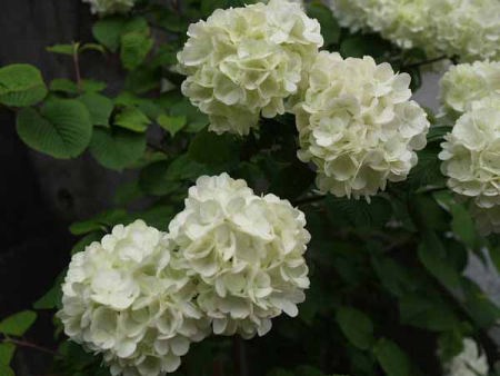 �I�I�f�}���i���q ���J���j