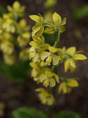 �L�G�r�l�i���q ���J���j